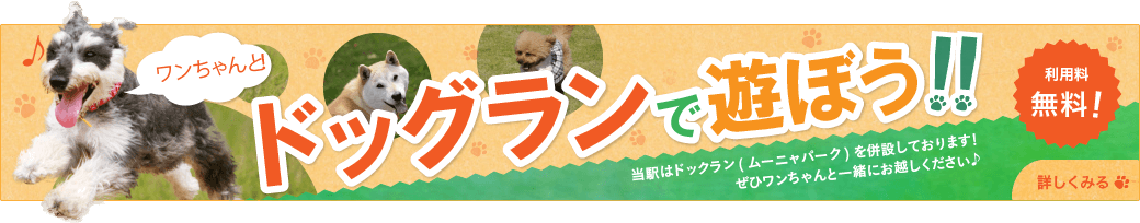 ワンちゃんと！ドッグランで遊ぼう！！